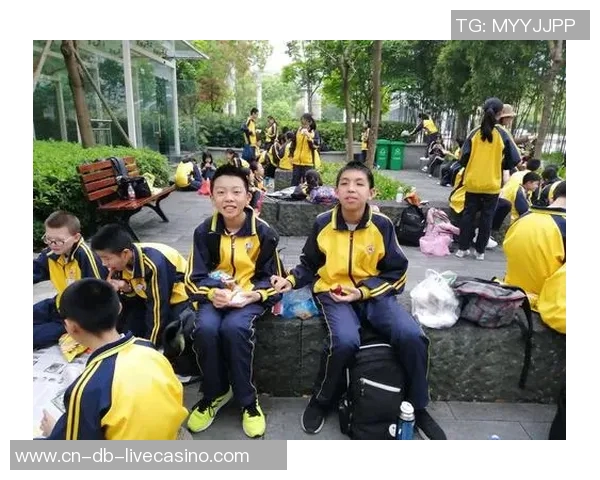 巴西足球惨案揭示的悲剧与反思：历史教训与未来展望